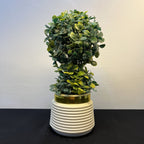 Artificial Flowering Plants in Decorative Pot – 9 Inch | (Min order 2) | Home & Office Tabletop Decor